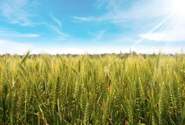 Expérimenter aujourd’hui les solutions dont l’agriculture aura besoin demain