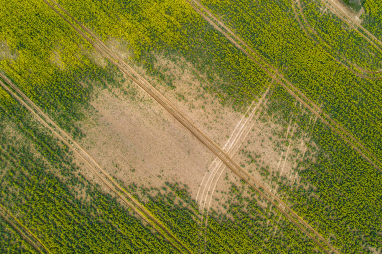 Protection des cultures et adaptation au changement climatique, quelles interactions ?